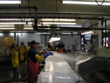 Trident Seafoods - Work and Travel 2009